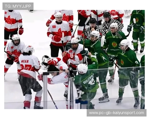 冰球联赛再起冲突，裁判团队及时介入平息事态